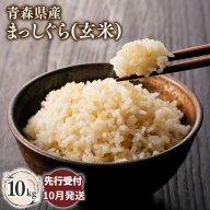≪令和8年産 先行予約≫10月下旬よりお届け! 青森県平川市産まっしぐら10kg(玄米)