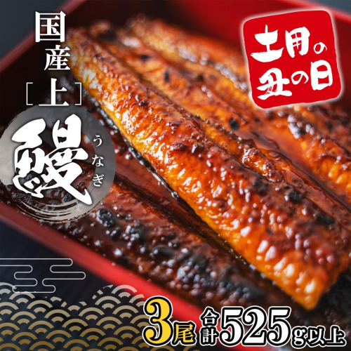  【土用の丑の日までにお届け】 上うなぎ 蒲焼 3尾 525g以上 国産 鰻 人気 うなぎ蒲焼き うな重 魚 魚介 ギフト K2348 2650033 - 茨城県境町