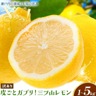 《先行予約》 訳あり 三ツ山レモン 選べる 1kg 3kg 5kg お試し 大容量 三ツ山レモンファーム《12月下旬-3月中旬頃出荷》岡山県 浅口市 送料無料 れもん 檸檬 わけあり ワケあり お取り寄せ