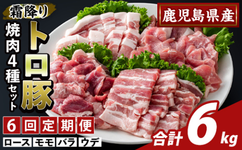 K-379-E ＜6回定期便＞鹿児島県産霜降りトロ豚 焼肉用バラエティセット(計6kg)【ふるさと産直バザール】霧島市 ロース バラ ウデ モモ 焼き肉 ヤキニク 豚肉 国産 鹿児島県産 肉 精肉 小分け セット 食べ比べ 定期便 2650054 - 鹿児島県霧島市