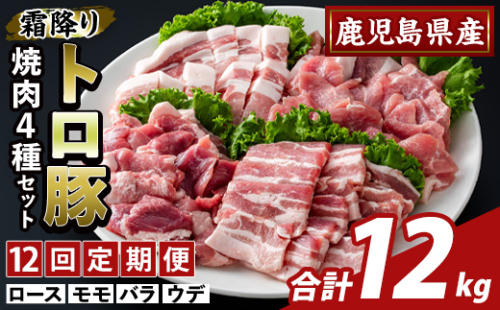 K-379-F ＜12回定期便＞鹿児島県産霜降りトロ豚 焼肉用バラエティセット(計12kg)【ふるさと産直バザール】霧島市 ロース バラ ウデ モモ 焼き肉 ヤキニク 豚肉 国産 鹿児島県産 肉 精肉 小分け セット 食べ比べ 定期便 2650055 - 鹿児島県霧島市
