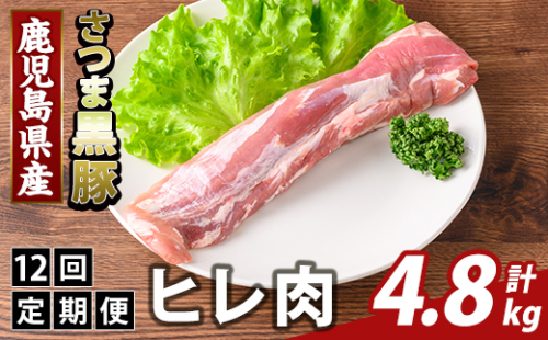 K-484-F ＜12回定期便＞鹿児島県産さつま黒豚 ヒレ肉(計4.8kg)【ふるさと産直バザール】霧島市 ヒレ肉 黒豚 国産 鹿児島県産 肉 精肉 定期便 2650068 - 鹿児島県霧島市