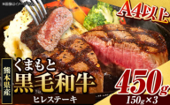 くまもと黒毛和牛 ヒレステーキ 450ｇ 牛肉 冷凍 《90日以内に出荷予定(土日祝除く)》 くまもと黒毛和牛 黒毛和牛 冷凍庫 個別 取分け 小分け 個包装 ステーキ肉 にも ヒレステーキ
