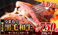くまもと黒毛和牛 サーロインステーキ 750g ( 250g x 3枚 ) 牛肉 冷凍 《30日以内に出荷予定(土日祝除く)》 くまもと黒毛和牛 黒毛和牛 冷凍庫 個別 取分け 小分け 個包装 ステーキ肉 にも サーロインステーキ