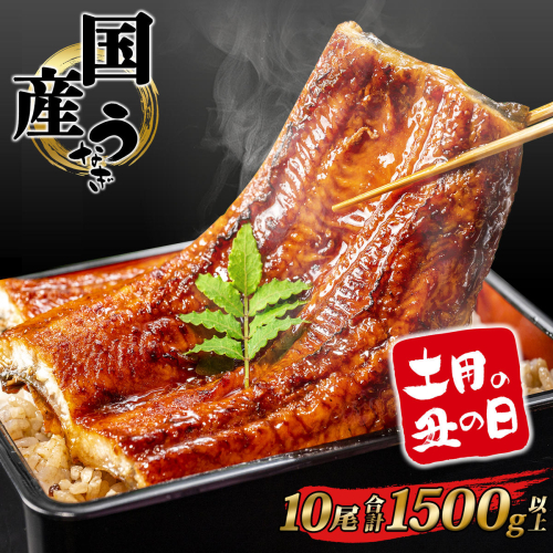 【土用の丑の日までにお届け】うなぎ 蒲焼 10尾 1,500g以上 国産 鰻 人気 うなぎ蒲焼き うな重 簡易袋 魚 魚介 ギフト K2394 2650294 - 茨城県境町