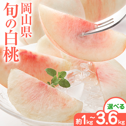 岡山県の旬の白桃 選べる 約1kg 約2kg 約3.6kg【配送不可地域あり】花田青果株式会社《6月下旬-8月下旬頃出荷予定(土日祝除く)》ふるさと納税 桃 白鳳 桃 岡山 もも ふるさと納税 桃 おすすめ 桃 美味しい 桃 2026 桃 おどろき 楽天 ふるさと納税 桃 岡山 2650320 - 岡山県浅口市