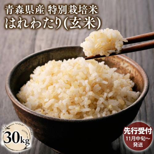 ≪令和8年産 先行予約≫11月中旬よりお届け! 　特別栽培米 はれわたり玄米30kg(10kg×3袋)【青森県 平川市】先行予約 米 お米 玄米 青森県産 産地直送 おにぎり 朝ご飯 冷めてもおいしい ご飯  コメ こめ 白米 ごはん ブランド米 特A 特A米 お取り寄せ グルメ 2650368 - 青森県平川市