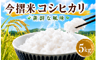 今摺米 特別栽培米 コシヒカリ 5kg 令和7年産 JA ブランド米 米 お米 米5kg 精米 いまずりまい ごはん こめ おむすび おにぎり 弁当 おかず 色彩選別 鮮度 雪解け水 贈答 ギフト 国産 新潟 新発田 JA北新潟 こったま〜や
