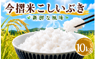 今摺米 こしいぶき 10kg （ 5kg × 2袋 ） 令和7年産 JA ブランド米 米 お米 米10kg 精米 いまずりまい ごはん こめ おむすび おにぎり 弁当 おかず 色彩選別 鮮度 雪解け水 贈答 ギフト 国産 新潟 新発田 JA北新潟 こったま～や JA012