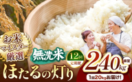[定期便12回]熊本県産 ほたるの灯り 無洗米 20kg | お米 無洗米 ブレンド米 お米 家庭用 送料無料 お米 熊本 くまもと お米 熊本県 国産 KOKUSAN 国産米 熊本県 玉名市