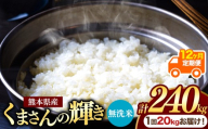 [定期便12回]熊本県産 無洗米 くまさんの輝き 20kg | お米 米 こめ おこめ 精米 白米 20キロ 240キロ フードロス 国産 国産米 くまもと 熊本 熊本県 玉名市 玉名