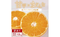 [先行受付][訳あり]甘平×まどんな1.5kg 「紅プリンセス」と同品種 愛媛果試48号みかん[C25-376][1715579] YW