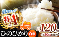 【 定期便6回 】熊本県産 白米 ひのひかり 20kg | 20キロ 120キロ お米 米 こめ おこめ 精米 白米 ヒノヒカリ 5キロ 30キロ ご飯 国産 国産米 定期 くまもと 熊本 熊本県 玉名市 玉名