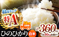 【 定期便12回 】熊本県産 白米 ひのひかり 30kg | お米 米 こめ おこめ 精米 白米 ヒノヒカリ 30キロ 360キロ ご飯 国産 国産米 定期 くまもと 熊本 熊本県 玉名市 玉名