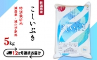 75-3K05Z【12ヶ月連続お届け】新潟県長岡産特別栽培米こしいぶき5kg