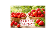 ＜発送月固定定期便＞長野の果物 いちご+さくらんぼ　全2回【4085408】