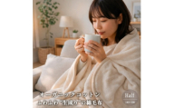 ＜ハーフサイズ＞ふわふわ 生成りのオーガニックコットン綿毛布(140×100)【1738884】