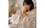 ＜ハーフ2枚組＞ふわふわ 生成りのオーガニックコットン綿毛布(140×100)【1738892】
