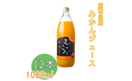 N410　有田みかん１００％ジュース　１０００ｍｌ　１２本