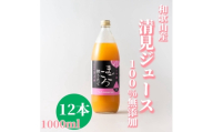 N411　清見１００％ジュース　１０００ｍｌ　１２本