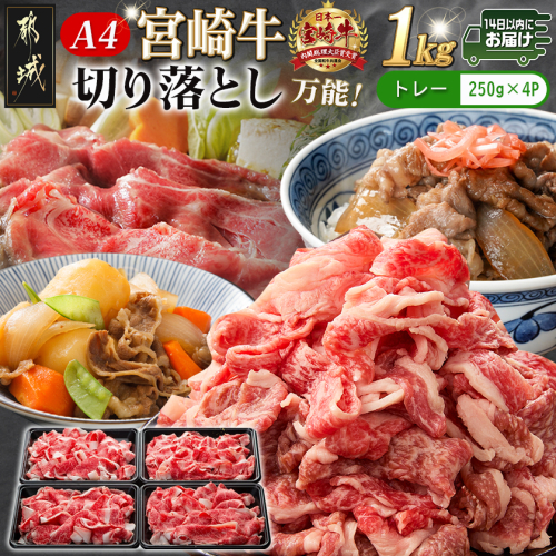 宮崎牛切り落とし1kg≪みやこんじょ快速便≫_MJ-89-006-1000g-R 2652475 - 宮崎県都城市