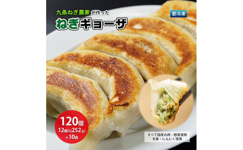 九条ねぎ農家が作ったねぎギョーザ（12個入×10袋）ぎょうざ 餃子 ギョーザ 九条ねぎ 京野菜 冷凍 冷凍餃子 惣菜 国産豚肉 ジューシー おかず つまみ 酒の肴 夕飯 晩御飯 手軽 便利 2652488 - 京都府宇治田原町