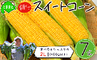 【令和7年産先行受付】北海道とままえ産スイートコーン　7本 （先行予約　北海道産　とうもろこし　とうきび　朝どれ　朝もぎ　旬　新鮮　送料無料　冷蔵）