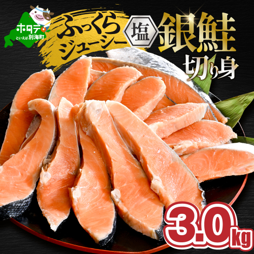 塩銀鮭切身 3.0kg (1.5kg×2箱)【MT0002TZ0】 2652617 - 北海道別海町