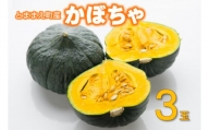 北海道とままえ産かぼちゃ　3玉