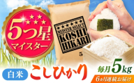 【全6回定期便】こしひかり 白米 5kg / お米 ふるさと納税 A評価  / 佐賀県 / 大塚米穀店 [41ANAD037]