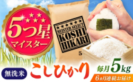 【全6回定期便】こしひかり 無洗米 5kg / お米 ふるさと納税 A評価 / 佐賀県 / 大塚米穀店 [41ANAD043]