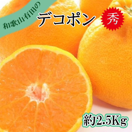 【先行予約】【秀品】デコポン 和歌山有田 約2.5kg 2653088 - 和歌山県美浜町