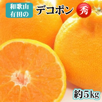 【先行予約】【秀品】デコポン 和歌山有田 約5kg 2653089 - 和歌山県美浜町