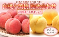 《先行予約》どちらも食べたい「白桃と黄桃の食べ比べセット 2kg」 F2Y-1802