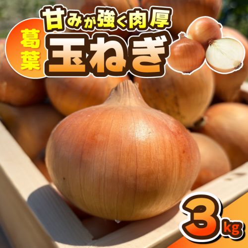 葛葉玉ねぎ 3kg【10玉程度 泉佐野市 泉州たまねぎ 肉厚 甘い】 010B1965 2653407 - 大阪府泉佐野市