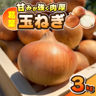 葛葉玉ねぎ 3kg【10玉程度 泉佐野市 泉州たまねぎ 肉厚 甘い】 010B1965