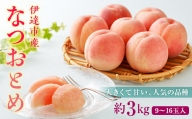 福島の桃 なつおとめ 3kg（9～16玉） 先行予約 フルーツ 果物 伊達市産桃 もも モモ momo F20C-349