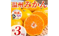 先行予約 温州みかん 約3kg （2S～2L）【2026年10月上旬～2027年2月下旬発送予定】みかん ミカン フルーツ 果物 柑橘 かんきつ 蜜柑 うんしゅうみかん ウンシュウミカン 熊本県 熊本 九州 宇城市 国産 高糖度 甘い ジューシー 日本フルーツ