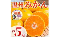 先行予約 温州みかん 約5㎏ ( 2S～2L)【2026年10月上旬～2027年2月下旬発送予定】みかん ミカン フルーツ 果物 柑橘 かんきつ 蜜柑 うんしゅうみかん ウンシュウミカン 熊本県 熊本 九州 宇城市 国産 高糖度 甘い ジューシー 日本フルーツ