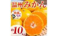 先行予約 温州みかん 約10㎏ ( 2S～2L )【2026年10月上旬～2027年2月下旬発送予定】みかん ミカン フルーツ 果物 柑橘 かんきつ 蜜柑 うんしゅうみかん ウンシュウミカン 熊本県 熊本 九州 宇城市 国産 高糖度 甘い ジューシー 日本フルーツ