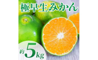 先行予約 極早生みかん 約5kg （2S～2L）【2026年10月上旬～2026年10月下旬配送予定】みかん ミカン 極早生みかん フルーツ 果物 柑橘 かんきつ 蜜柑 熊本県 熊本 九州 宇城市 国産 高糖度 甘い ジューシー みずみずしい 果汁 日本フルーツ