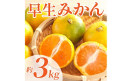 先行予約 早生みかん 約3㎏（2S~2L）【2026年11月上旬～2026年11月下旬配送予定】 みかん ミカン 早生みかん フルーツ 果物 柑橘 かんきつ蜜柑 熊本県 熊本 九州 宇城市 国産 高糖度 甘い ジューシー みずみずしい 果汁 酸味 日本フルーツ