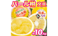先行予約 パール柑 文旦 秀品 約10kg【2027年2月上旬～2027年3月下旬配送予定】ぱーるかん ぶんたん 果物 フルーツ くだもの 柑橘 柑橘類 グレープフルーツ 国産 熊本 九州 産地直送 秀品 高品質 酸味控えめ 日本フルーツ