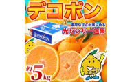 先行予約 デコポン 約5kg (12～24玉) 【2026年12月上旬～2027年4月上旬配送予定】でこぽん 果物 フルーツ くだもの 柑橘 柑橘類 フルーツ 国産 熊本 熊本県 九州 産地直送 日本フルーツ