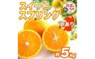 先行予約 訳ありスイートスプリング 約5kg 【2027年1月中旬～2027年3月上旬配送予定】みかん オレンジ 果物 フルーツ くだもの 柑橘 柑橘類 フルーツ 国産 熊本 熊本県 九州 産地直送 わけあり ワケアリ 日本フルーツ