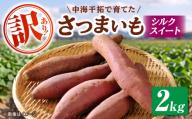 【先行予約】【2026年11月上旬順次発送】【訳あり】島根県GAP認証　さつまいも（シルクスイート）2kg　島根県松江市/フジキコーポレーション株式会社 [ALDS027]｜さつまいも シルクスイート いも 焼き芋 野菜 イモ 訳あり 島根