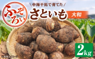 【先行予約】【2026年11月上旬順次発送】【不揃い】島根県GAP認証 さといも2kg 島根県松江市/フジキコーポレーション株式会社 [ALDS028]｜さといも 野菜 里芋 サトイモ イモ 大和 不揃い 島根 松江