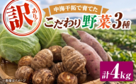 【先行予約】【2026年11月上旬順次発送】【訳あり】こだわり野菜3種（さつまいも・里芋・キャベツ）詰合せ 計4kg 島根県松江市/フジキコーポレーション株式会社 [ALDS030]｜野菜 さつまいも 里芋 キャベツ 3種類 セット 詰合せ 訳あり 島根