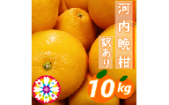 愛咲果樹園「河内晩柑」訳あり約10kg【C71-42】YWTS036