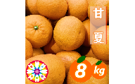 【先行受付】愛咲果樹園「甘夏」約8kg【C71-41】YWTS037
